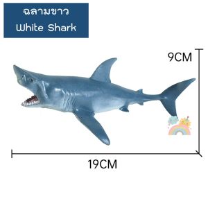 (COD) โมเดลสัตว์ทะเล พร้อมส่ง ไซส์จัมโบ้ ไม่บาดมือ โมเดลสัตว์ โมเดลสัตว์ของเล่นเสริมพัฒนาการ สัตว์ของเล่น