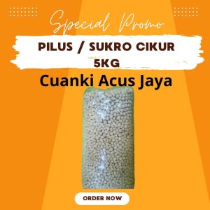 Pilus Kencur 5kg HEMAT MURAH