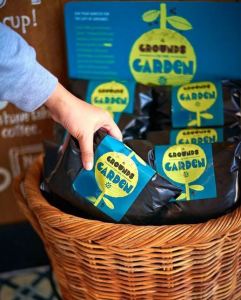 Used Coffee Grounds for Garden | Organic Fertilizer