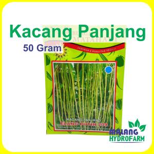 Benih Kacang Panjang Elang Putih 50 g dataran rendah menengah tahan virus biji bibit sayur buntut hijau haliaeetus leucogaste hydroponik hidroponik