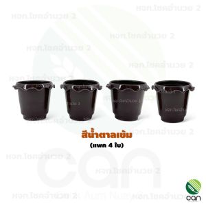 (แพค 4 ใบ) กระถาง ขอบหยัก ขนาด 3 นิ้ว กระถางต้นไม้ กระถางแคคตัส