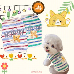 áo gấu " DONT WORRY " sọc ngang dành cho chó mèo - T3 PETS SHOP