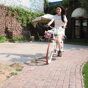 【PIGEON】Bicycle City Commuter Womens 24 inch College Student R Variable Speed Coffee Bike