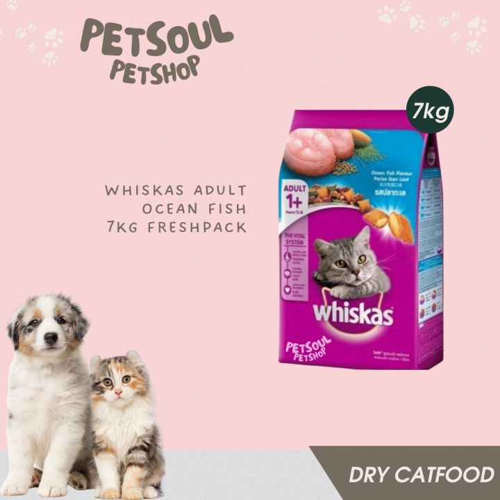 Makanan Kucing Whiskas Ocean Fish Adult 7kg Freshpack Lazada Indonesia