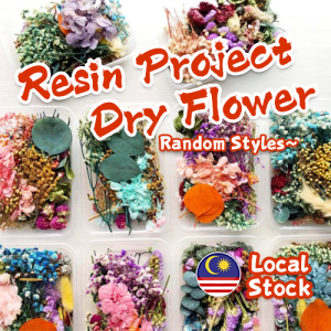 Everlasting dry flower for epoxy resin project real pressed leaf natural for soap candle dry baby breath floral decors