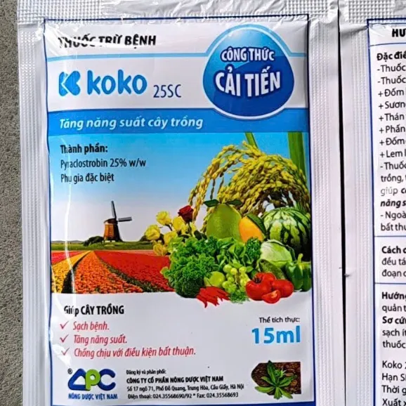 Koko 25SC