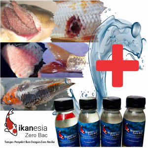 Ikanesia Zero Bac 100 ml Obat Ikan Koi Koki Dll Ampuh Penyakit Jamur Insang Aeromonas IKANESIA