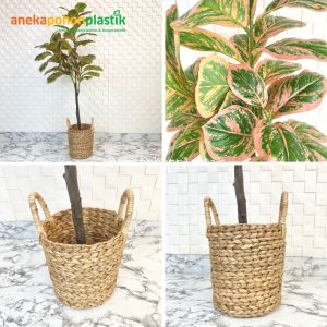 Tanaman Imitasi Pohon Daun Karet Merah Muda / Hijau Tua X3 T140 Latex Artificial Pot Dasar Cover Eceng Gondok Handle Dekorasi Ruang Tamu