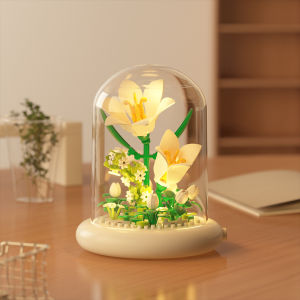 Building Block Romantic Eternal Flower with LED Potted Ornaments Includes Transparent Lid Creative Decoration Girls