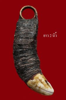 รูปจากผู้ขายบน Lazada: เขี่ยวเสือ หลวงพ่อปาน วัดคลองด่าน ถักเชือกเก่าเดิม ตั้งราคา ฿600 ขายแล้ว 8 ชิ้น