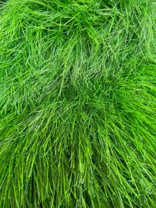 หญ้าฟางเทียม แฝกเทียม สีเขียว ธรรมชาติ ขนฟางยาว 15 CM. กว้าง 1 ยาว 20 เมตร ต่อ1ม้วน เคลือบกัน UV