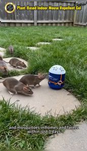 Mouse Repellent Gel Safe Non-Toxic Rat Repellent & Long-Lasting Anti-Rodent Gel