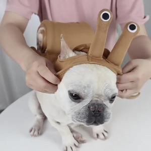 Dogs Jumpsuit Winter Warm Dogs Clothes for Dogs Snail Shape Halloween Pet Clothing Rabbits Cats Christmas Jumpsuit