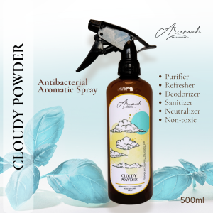Antibacterial Room Spray CLOUDY POWDER