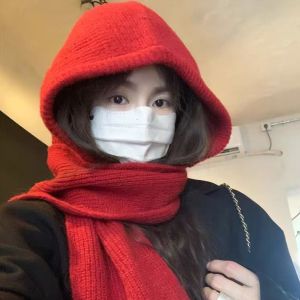 NOER Knitted Winter Balaclava Thickened One-Piece Ear Protection Cap Korean Style Hooded Hat Ski Beanie Cold Weather