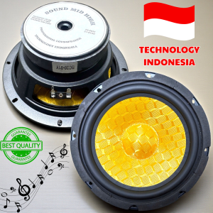 CỦ LOA BASS 20 COIL 38 TỪ LỚN 120 – MÀNG SỢI THUỶ TINH VÀNG HÀNG NHẬP KHẨU NGUYÊN CHIẾC ( GIÁ 1 CÁI )