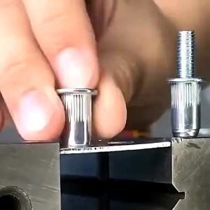 50pcs M5 M6 M8 Assorted 304 Stainless Steel Flat Head Rivet Nut Knurled Threaded Insert Nutsert
