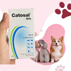 Catosal tăng nước máu chống còi cọc dùng cho gà đá và vật nuôi