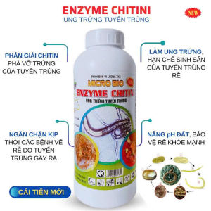 Enzyme Chitini Ung Trứng Tuyến Trùng Phục Hồi Bứu Rễ  Ngăn Vàng Lá Héo Xanh - Chai 1 Lit