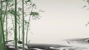 20PCS Upgrade Foot Pads 2-in-1 Natural Bamboo Vinegar Ginger Powder Foot Pads