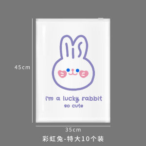 Travel Buggy Bag Clothes Clothing Underwear Organizing Bag Envelope Bag Luggage Transparent Waterproof Portable Dispensing Bag