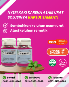 KAPSUL SAMRAT 42 Kapsul | Obat Asam Urat Herbal Alami | Obat Herbal Asam Urat | Obat Rheumatik Ampuh