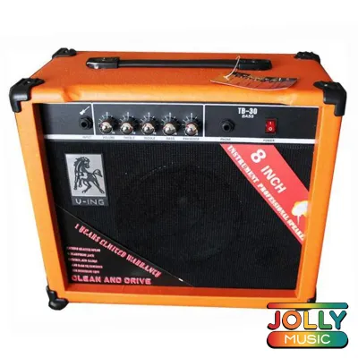 Deviser TB-30 Bass Guitar Amplifier 30W