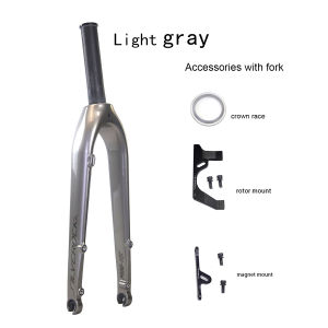 SILVEROCK MINI-TER Carbon Fork 20in Plus 22" Disc Brake O.L.D 100mm 28.6mm Flat Mount Special for TERN Verge D9 P10 X11 Folding Bikes