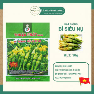 [EcoSeeds] Combo 2 Gói Hạt Giống Bí Siêu Nụ Thuận Phát - Siêu Nụ Chịu Nhiệt - Gói 10g