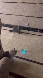 Retractable Cats Stick Toy Automatic Rechargeable Kittens Toy Relieves Boring for Various Cats Enthusiasts