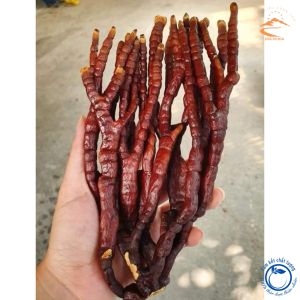 Nấm Linh chi Sừng Hươu Tây Bắc thu hái rừng phơi khô tự nhiên. Thảo dược nấm linh chi sừng hươu linh chi đỏ lim xanh