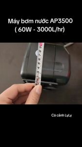 Máy Bơm Bể Cá AP 3500 (60W - 3000L/H) - Bơm Chìm Siêu Bền Tiết Kiệm Điện Hàng Chính Hãng
