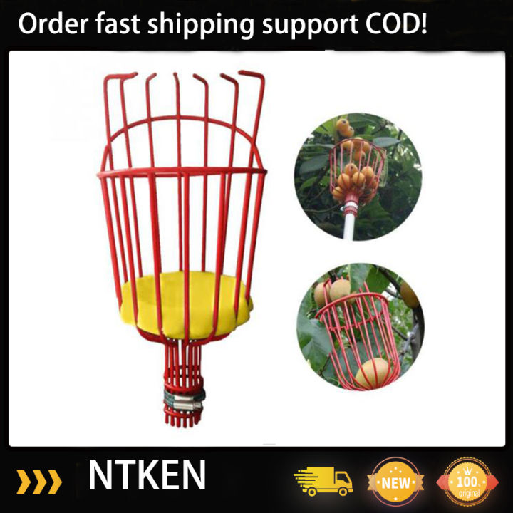 Fruit Picker Tool Outdoor Aluminum Deep Basket Garden Tools Fruit ...