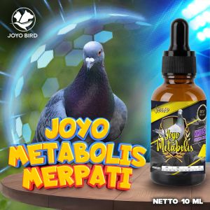 VITAMIN METABOLISME TUBUH BURUNG | MENJAGA IMUN TUBUH BURUNG MERPATI | JOYO METABOLIS MERPATI