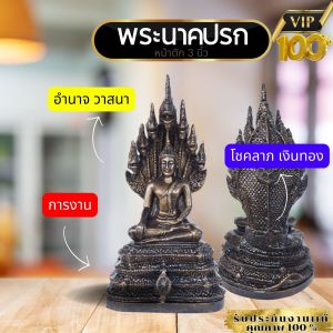 ชะตาพุ่ง ความศักดิ์สิทธิ์คุ้มครอง ด้วยมวลสารองค์เเร่เหล็กน้ำพี้เเท้ 100% 37/3