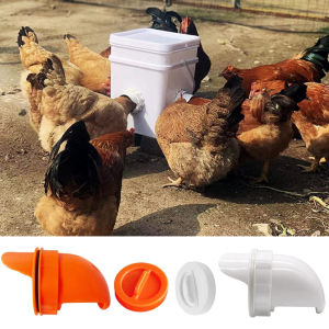 【Ready Stock】Chicken Feeders No Waste Poultry Pro Feeder No Waste DIY Poultry Port Feeder Weatherproof No Waste Chicken Feeders