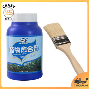 Salep Kambium Tanaman Salep Penyembuhan Luka Tanaman Salep Luka Tanaman 500g