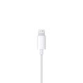 Apple EarPods (หูฟังมีสาย). 