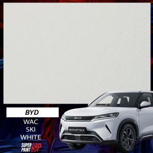 【 BYD ATTO 2 】 Touch Up Paint All Colors 🚗 Aerosol Spray 370ml Cat Spray Calar Kereta BYD Aikka