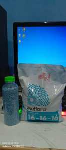 TERMURAH....... Pupuk Meroke NPK Mutiara 16 16 16 250 gram Kemasan Pabrik Mutiara Biru