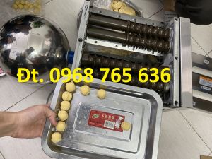 Máy vo viên tễ máy làm viên hoàn mềm cỡ lớn đường kính viên 16/19/23mm