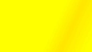 PARFUM LITTLE TREES LEATHER ORIGINAL USA