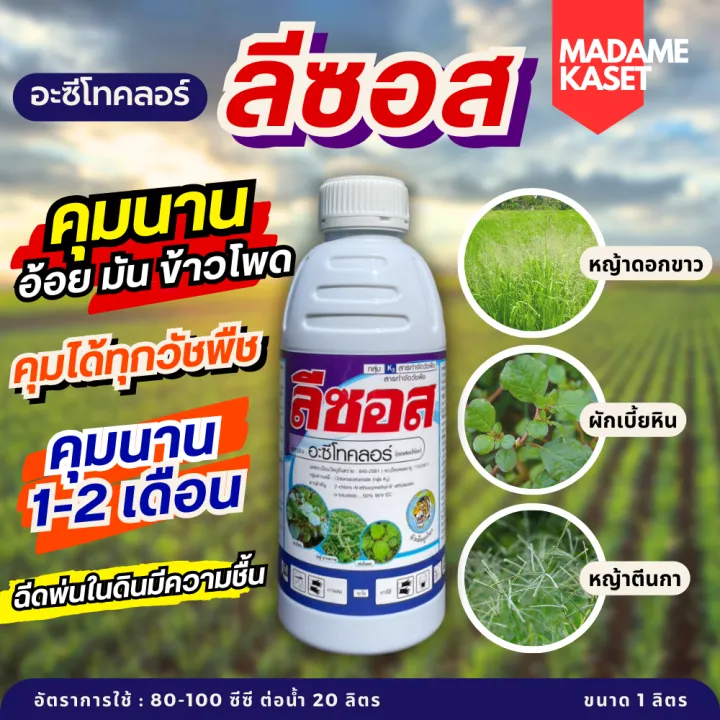 ลีซอส อะซีโทคลอร์ ยาคุมหญ้าในไร่อ้อย ไร่มัน