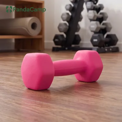 Hexagon Dumbbell Home Weight Lifting Training Equipment Fitness Exercise Gym Workout 1kg 2kg 3kg 4kg