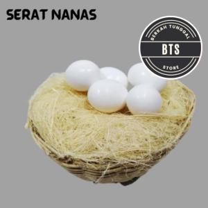 serat nanas sarang burung kenari/alas glodok SERAT NANAS SARANG BURUNG TEMPAT BERTELUR LOVEBIRD KENARI SERAT SERABUT UNTUK TARANGAN BURUNG