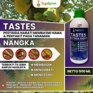 Obat Semprot Buah Nangka Busuk / Obat Semprot Buah Nangka / Obat Penyubur Pohon Nangka / Obat Lalat Buah Nangka / Obat Daun Nangka Kuning