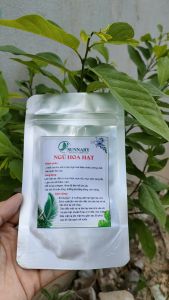 Mặt nạ hạt ngũ hoa hạt(đình lịch) thải độc chăm sóc mụn làm sạch sâu nhờn