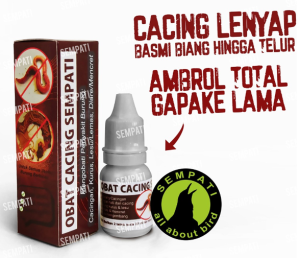 SEMPATI OBAT CACING MENGOBATI BURUNG SAKIT CACING KURUS LESU UNTUK MURAI KACER LOVEBIRD ANIS DLL
