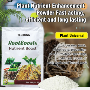 Pothos nutritional powder succulent plant potted flower cutting growth hair root nutritional powder