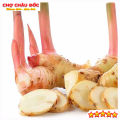 Củ Riềng Tươi Vùng Thất Sơn Dùng Làm Gia Vị Và Dược Liệu  Gói 500gr. 